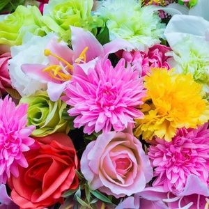 Meet your Posher, Posh🌺